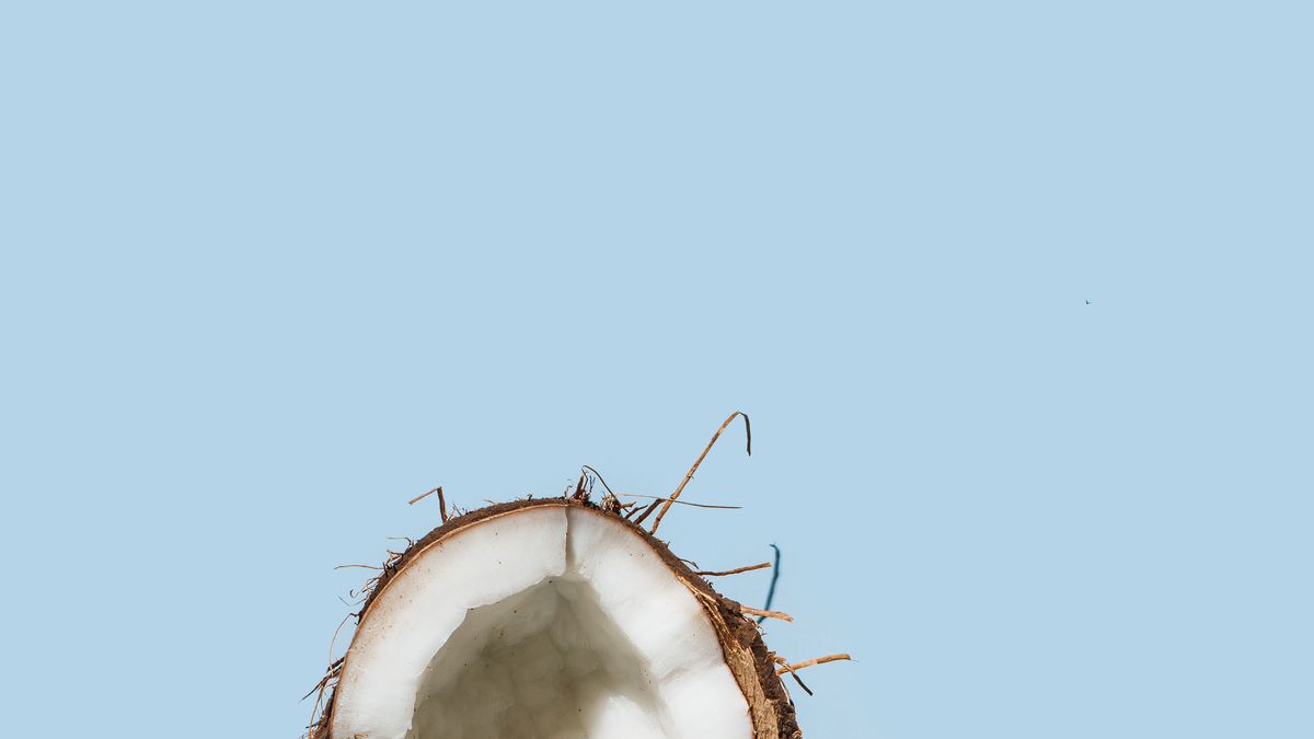 preview for How to Crack Open a Coconut