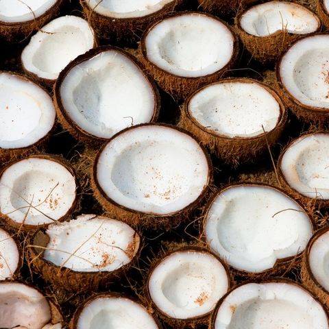 Coconuts drying in the sun