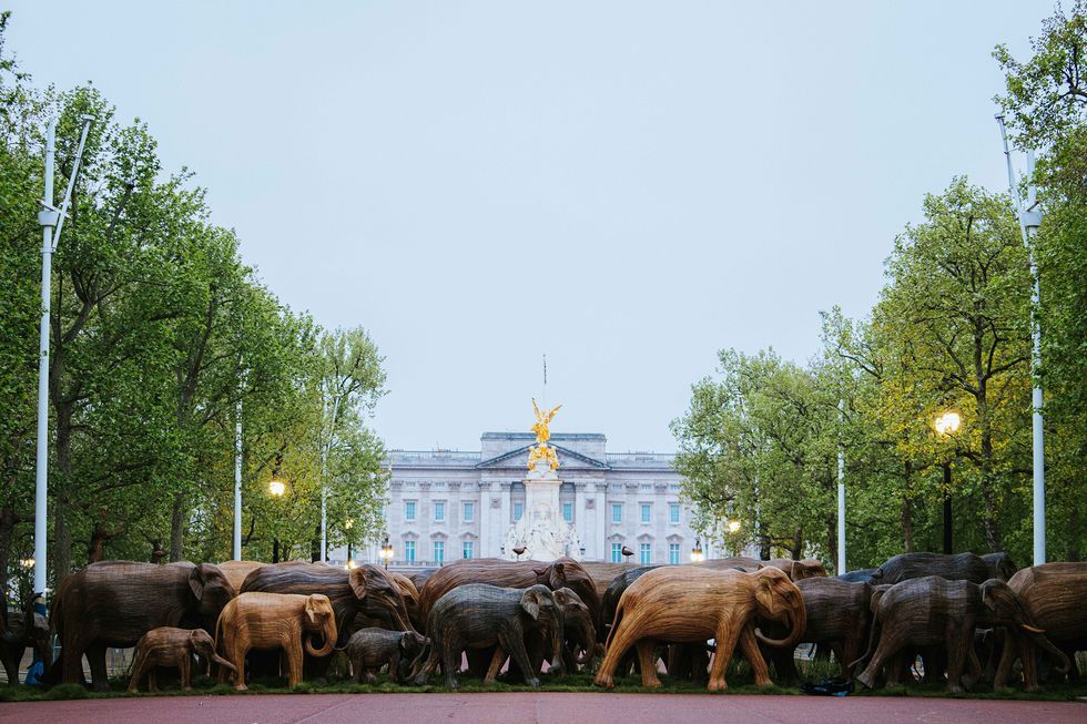 coexistence campaign buckingham palace
