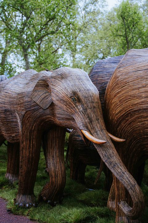 buckingham palace elephants