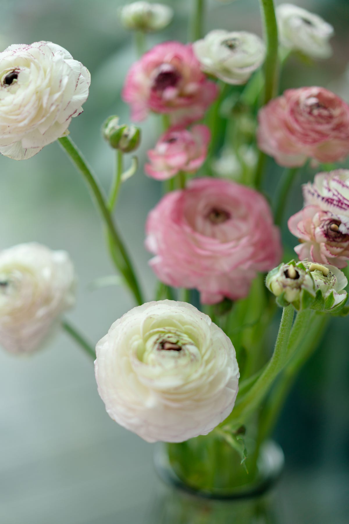 7 libri sui fiori e bouquet da comprare adesso