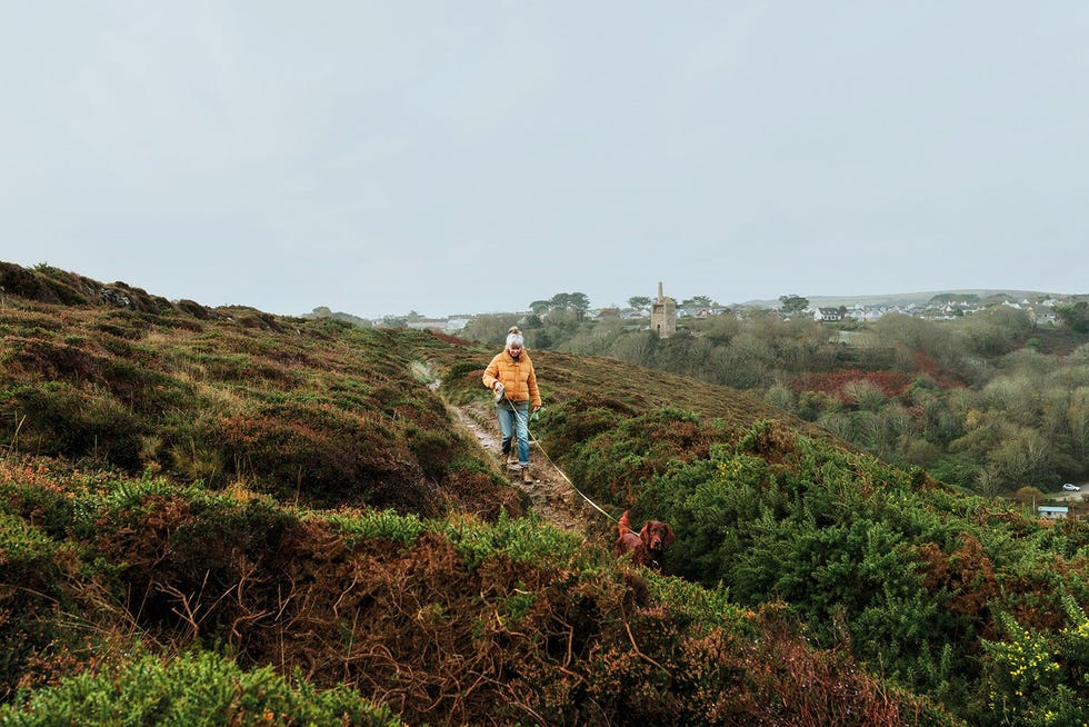 De Cornish zijn een wandelvolk En het lijkt wel alsof iedereen in Cornwall een hond heeft