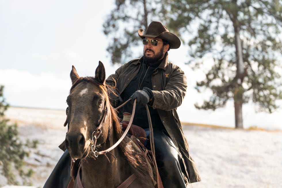 cole hauser as rip wheeler, yellowstone