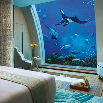 新加坡「聖淘沙名勝世界」怎麼玩？住海底別墅與魚群共眠、跟海豚近距離玩耍，必吃、必住、必玩都在這