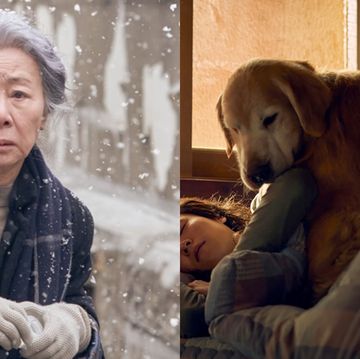 南韓影后尹汝貞《日日好狗日》寫給孤單人們的暖心之作：「世界末日也會相伴的，只有牠。」