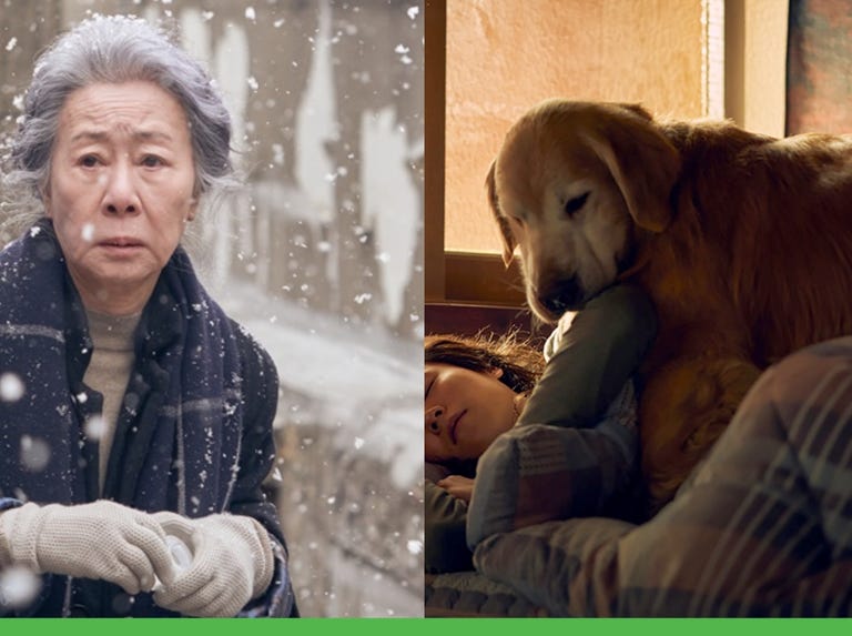 南韓影后尹汝貞《日日好狗日》寫給孤單人們的暖心之作：「世界末日也會相伴的，只有牠。」