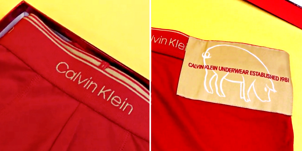 Calvin Klein伴你迎豬年～Raf Simons送上另類紅包，女生輕鬆揹男生穿著走！