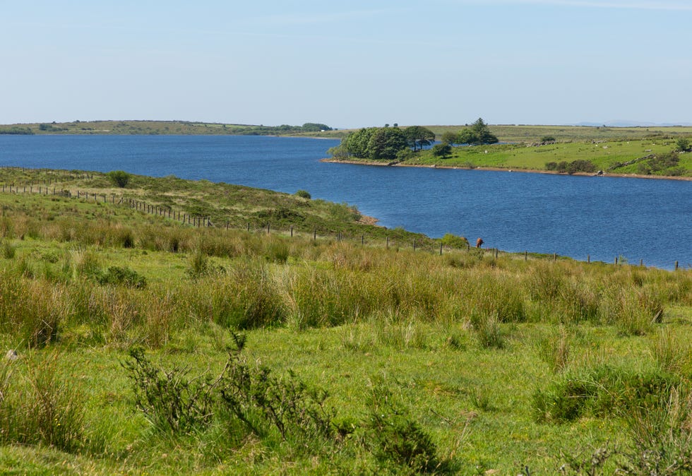 colliford lake bodmin moor cornwall england uk