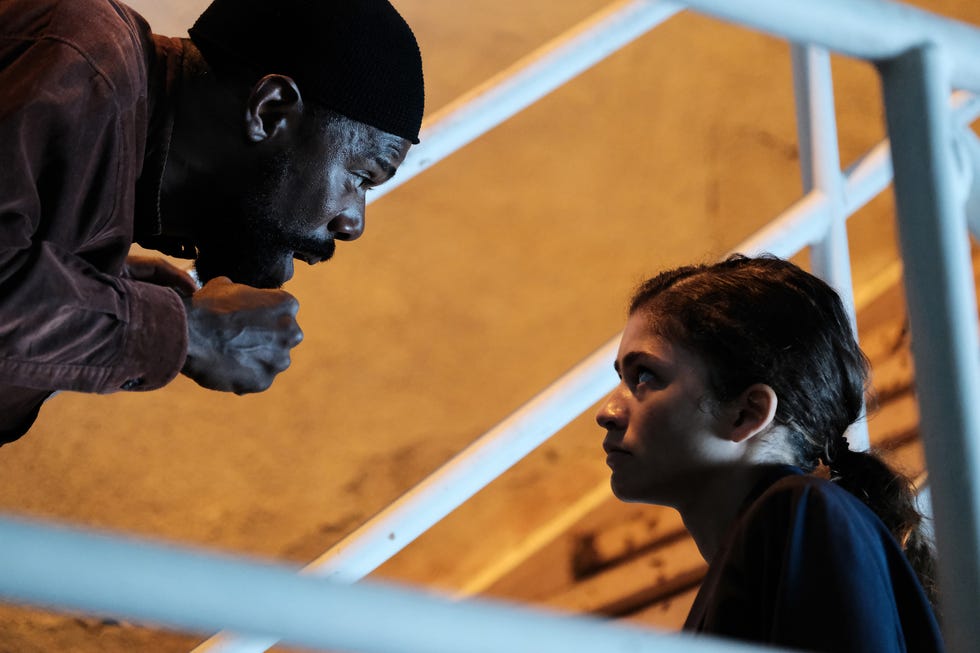 colman domingo 'euphoria'da