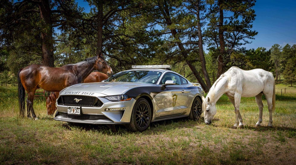 state trooper mustang