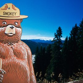 smokey bear statue