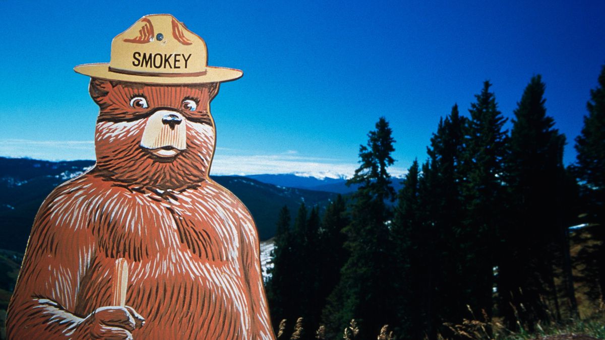 smokey bear statue