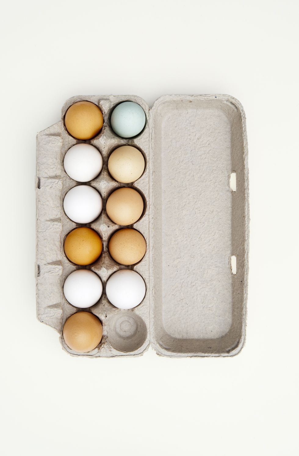colored eggs in paper egg carton