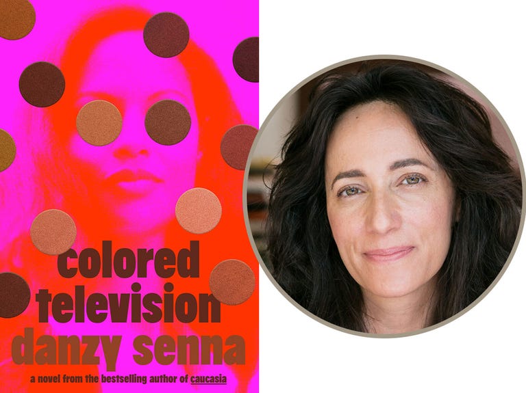 colored television, danzy senna colored television, danzy senna