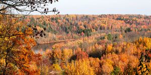 colorful autumn landscape
