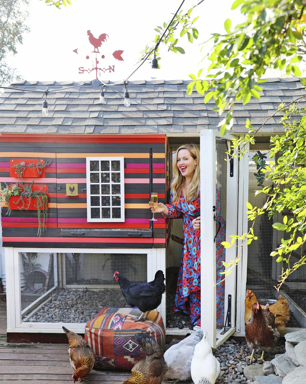 A Colorful Chicken Coop in A Small Backyard