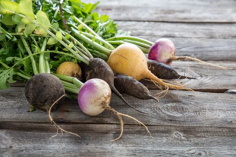 colorful organic turnips and radishes on wood for genuine gardening