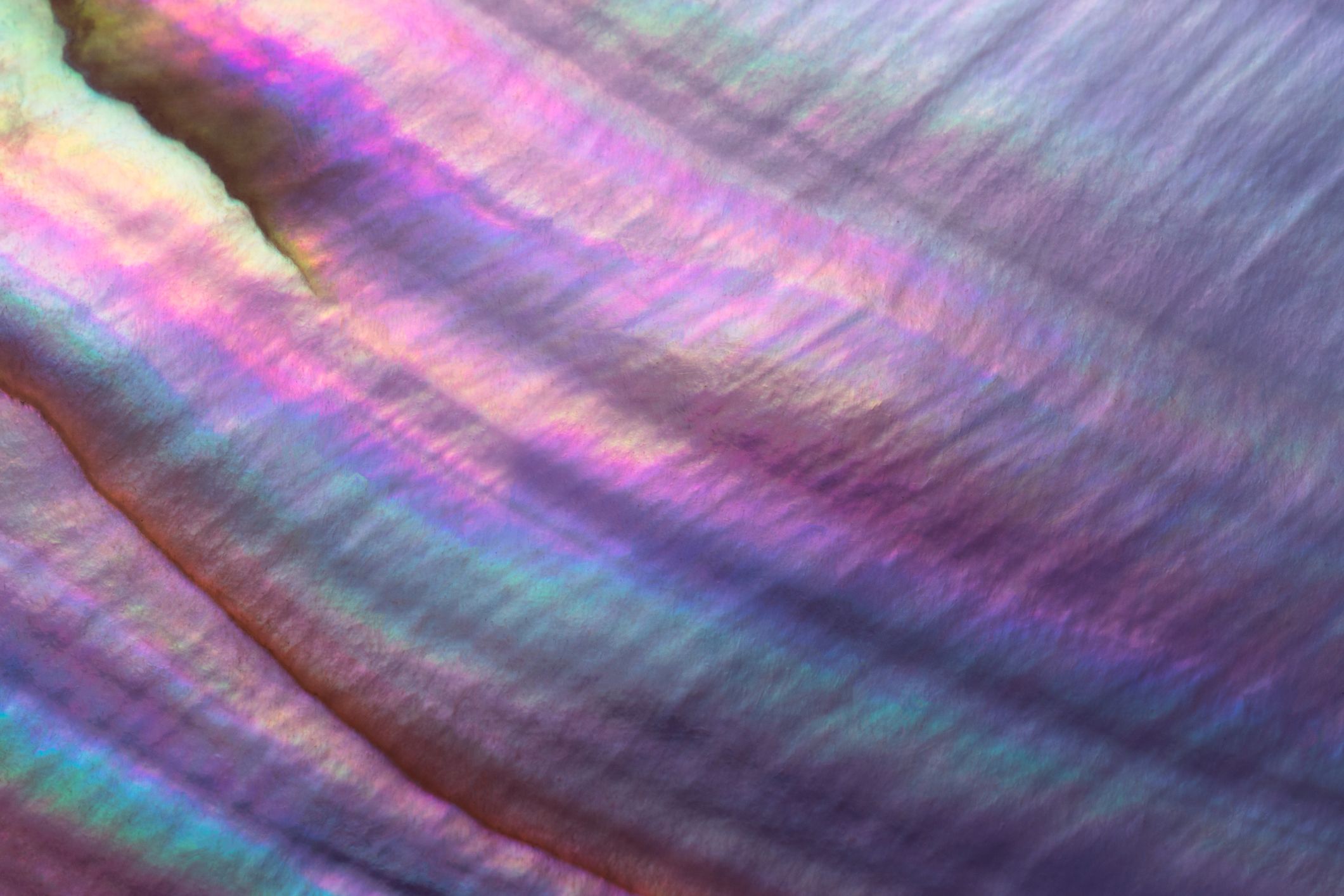 The science behind mother of pearl: what makes Nacre the mother of  materials - Science in the News