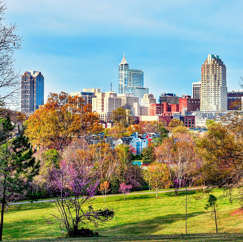 colorful raleigh cityscape