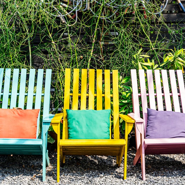 colourful garden