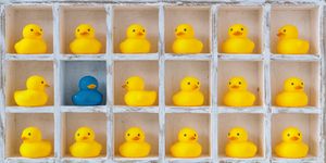 Small yellow rubber ducks in pigeon holes, one blue duck.