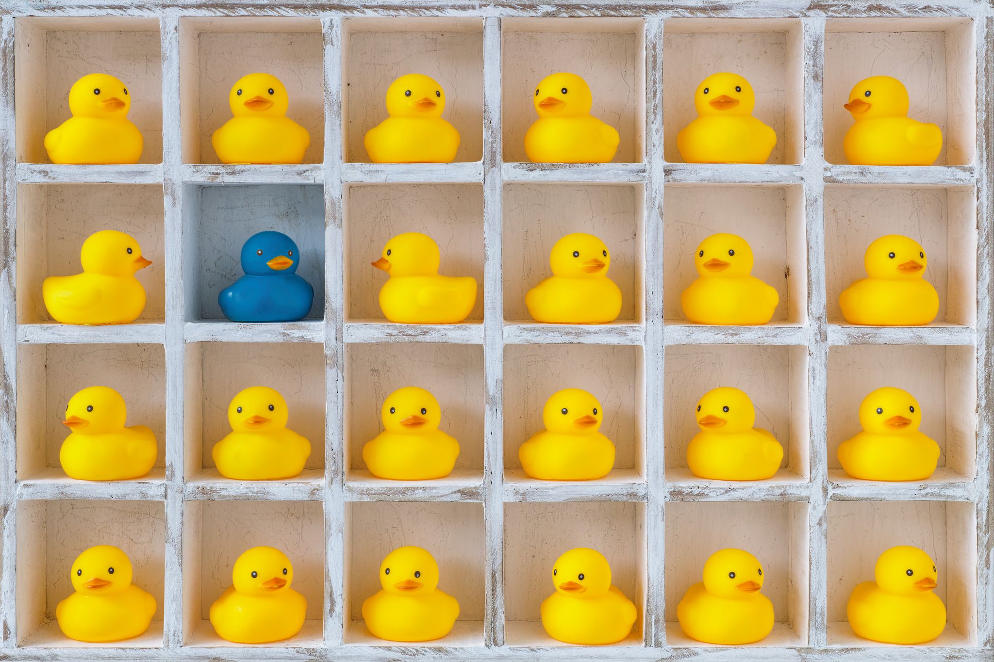 Small yellow rubber ducks in pigeon holes, one blue duck.
