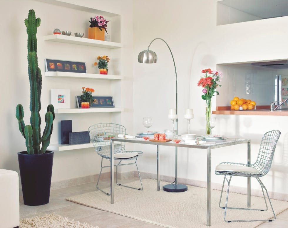 Furniture, Room, Table, Dining room, Shelf, Interior design, Property, Coffee table, Living room, Floor, 