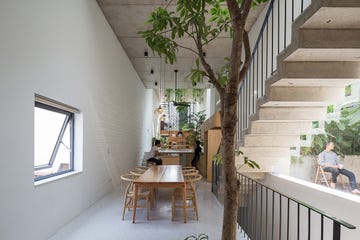 comedor estrecho con arbol y escaleras