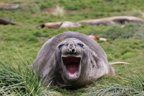 This is an image