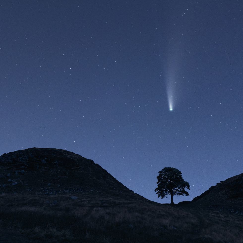 this sycamore tree is included within the six miles of hadrians wall this roman wall runs through the wild landscape of northern britain seen here with the famous c2020 f3 neowise comet, taken in july 2020 northumberland uk