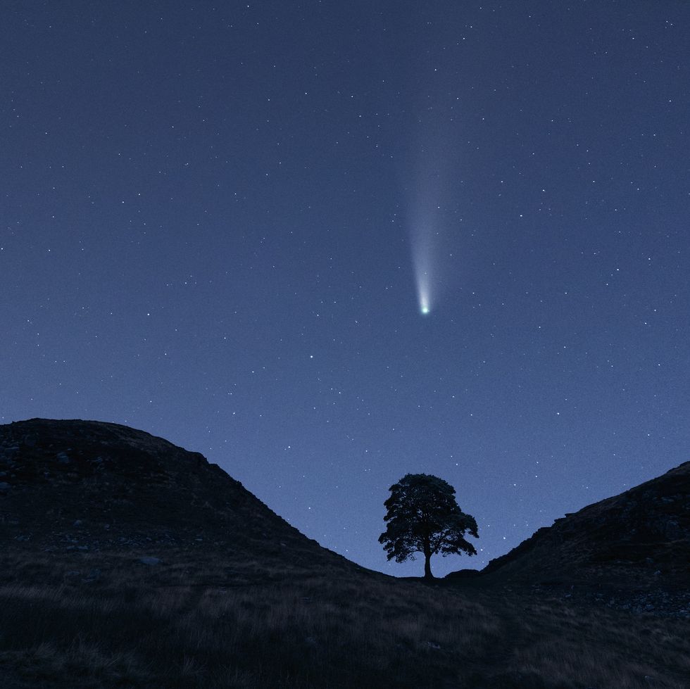 this sycamore tree is included within the six miles of hadrians wall this roman wall runs through the wild landscape of northern britain seen here with the famous c2020 f3 neowise comet, taken in july 2020 northumberland uk