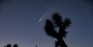comet neowise visible in southern california