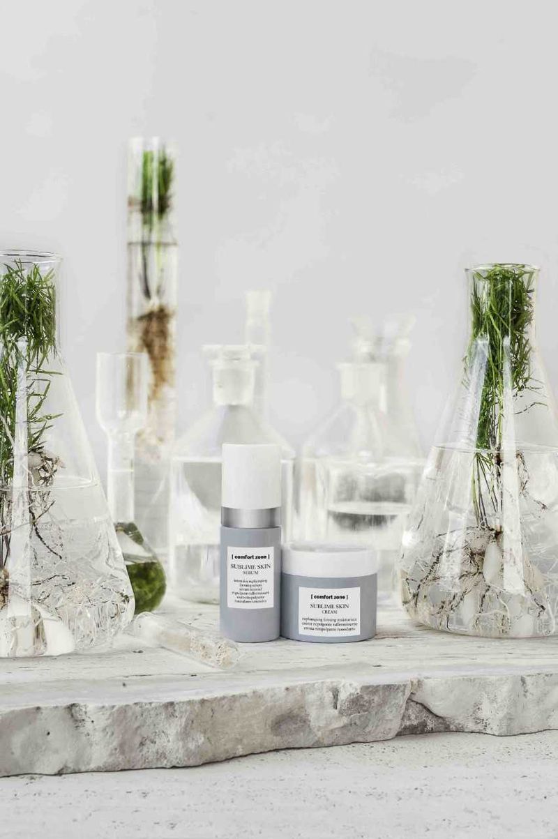White, Glass bottle, Shelf, Botany, Room, Flowerpot, Bottle, Plant, Furniture, Glass, 