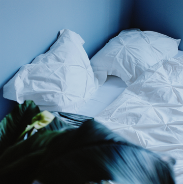 best comforter sets best comforter sets