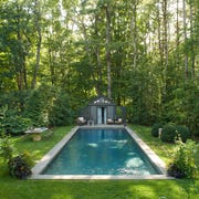 lawn care tips lawn care tips