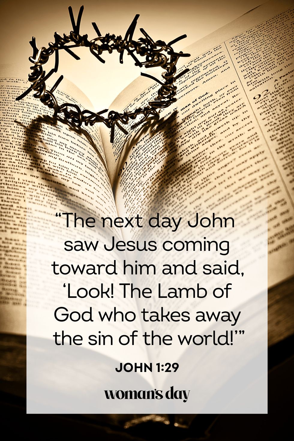 communion scripture john 1 29