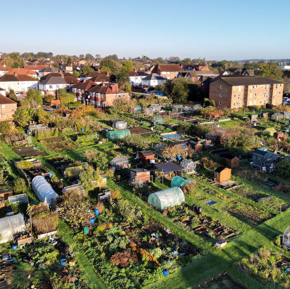 aerial view of housing and allotments in north london