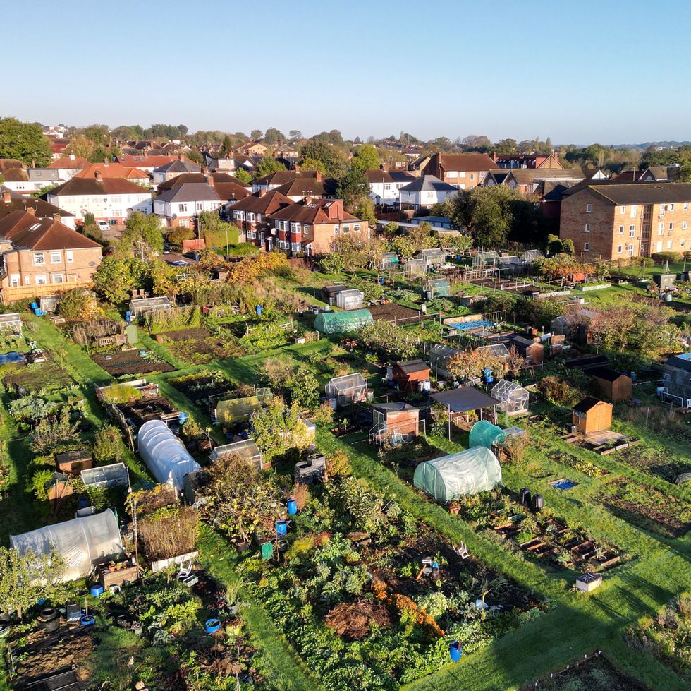 aerial view of housing and allotments in north london