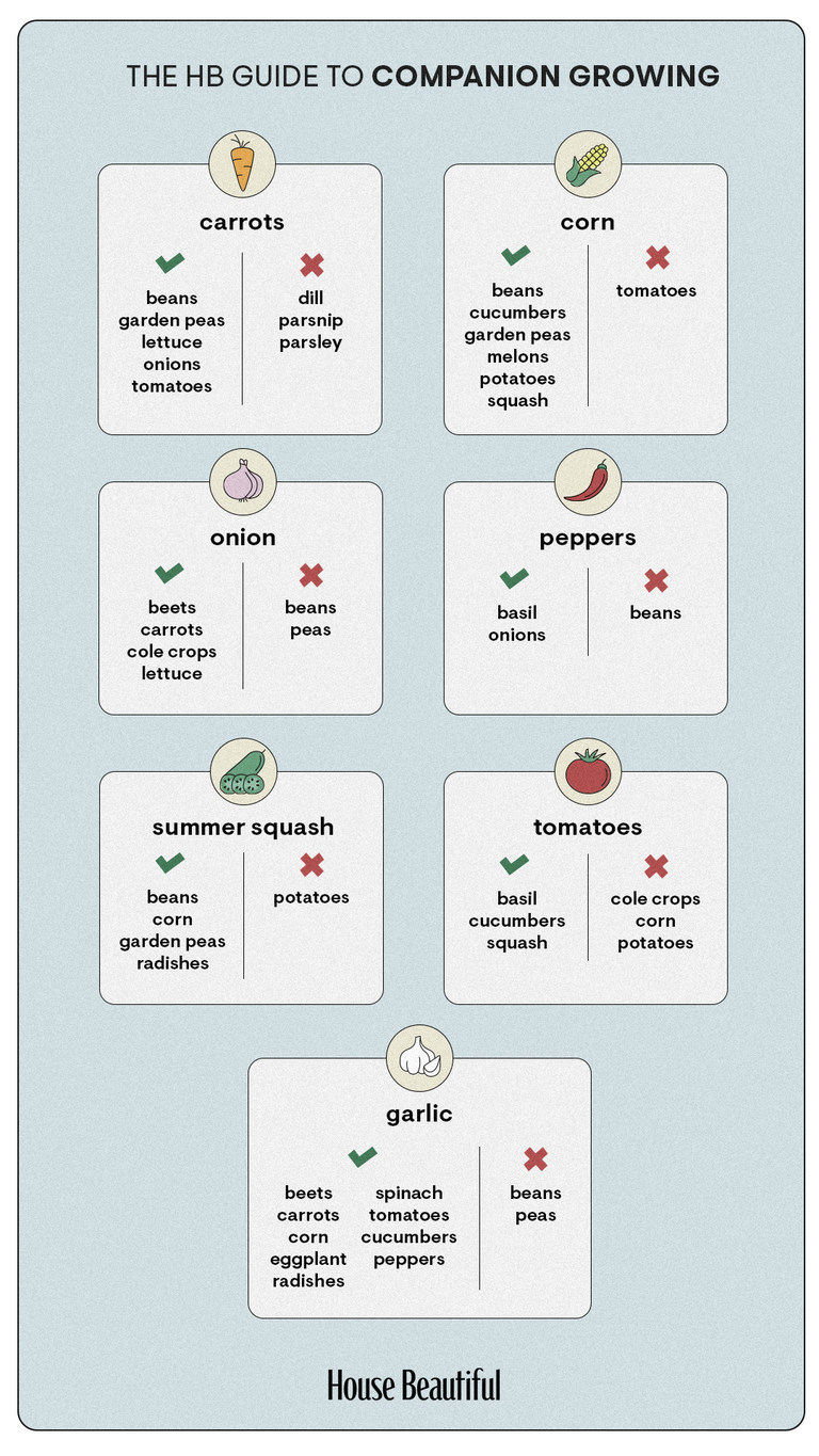 Companion Growing Guide And Companion Gardening Chart