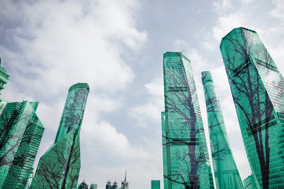 composite image of trees on buildings in city