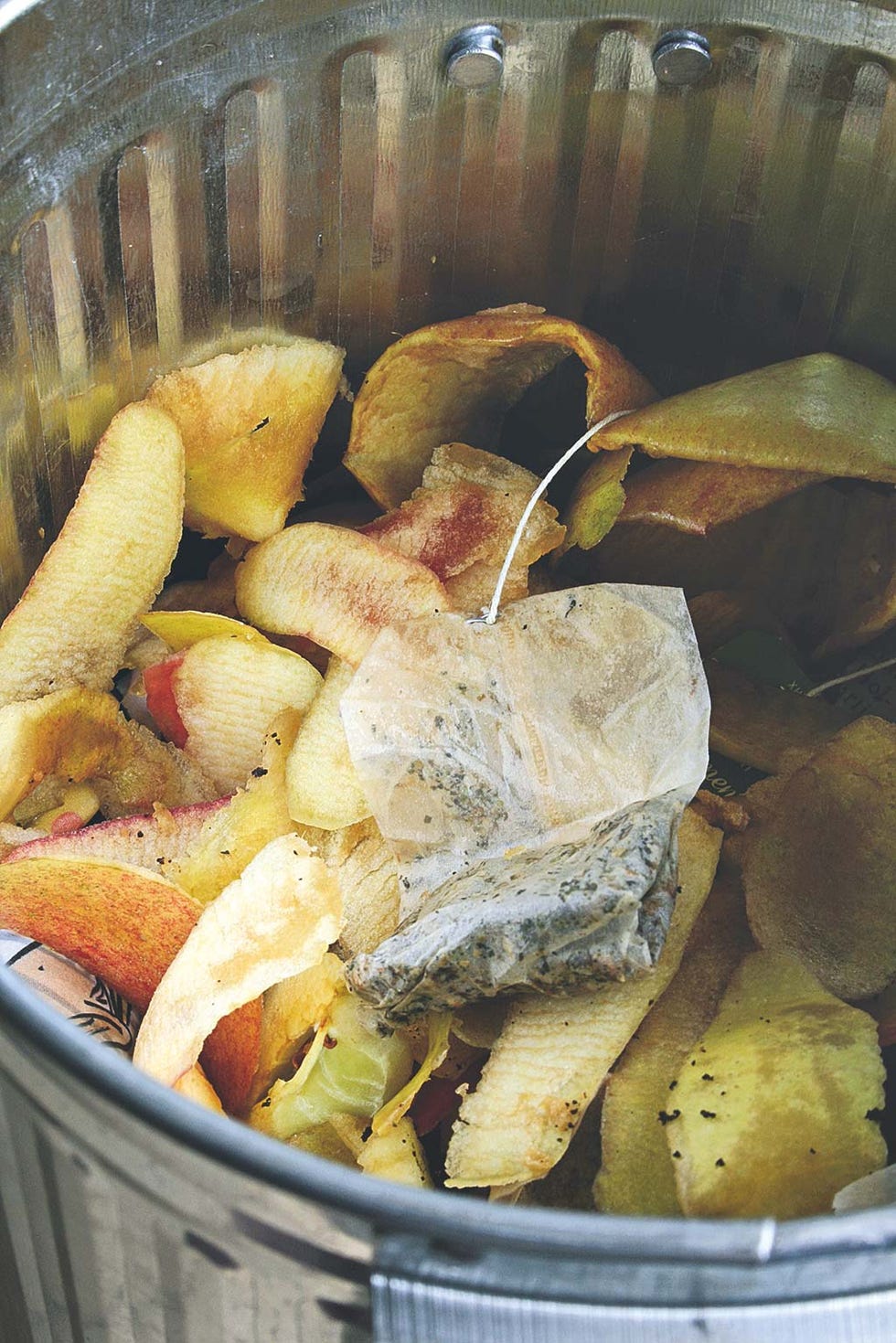 basura orgánica