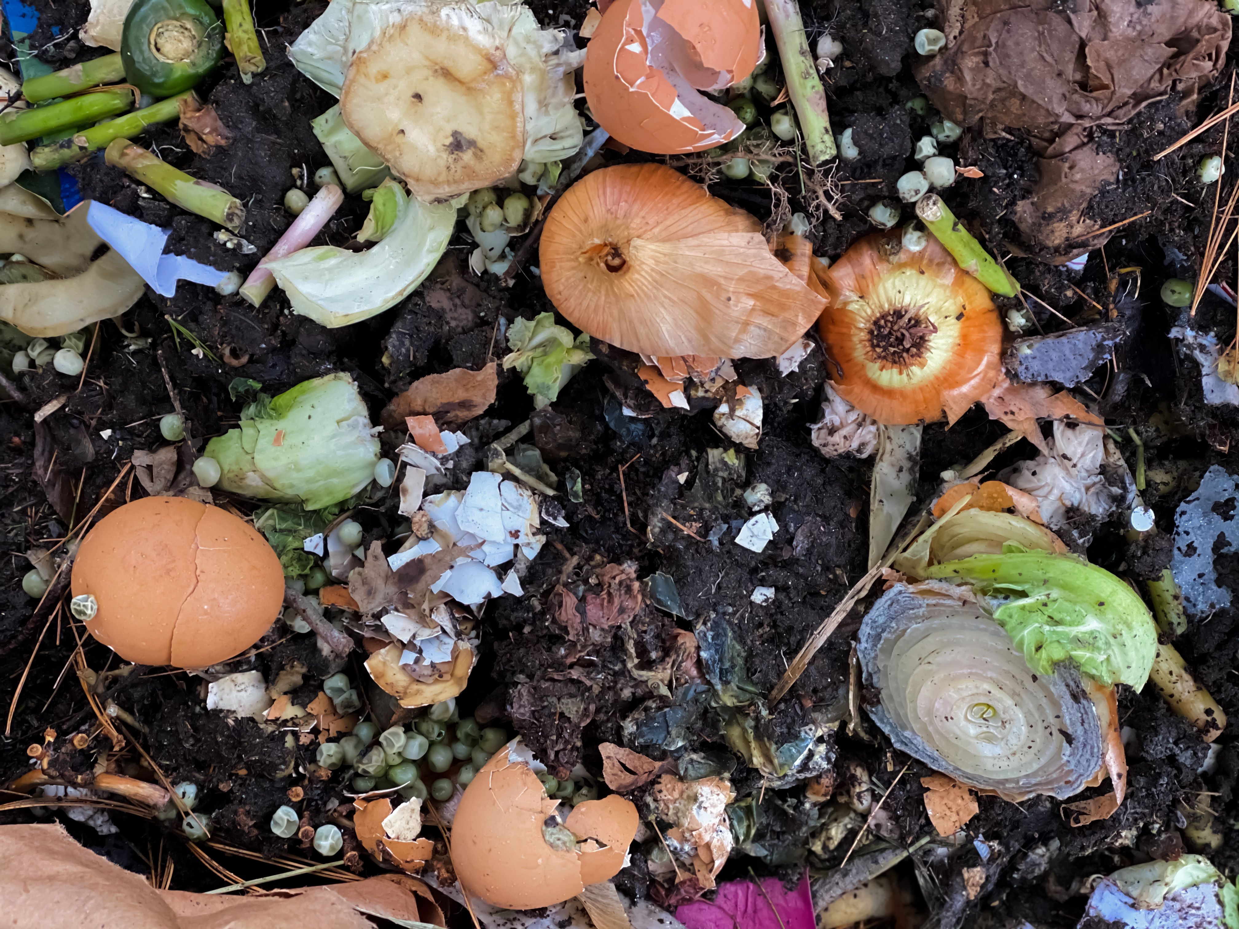 How to Compost at Home — Best Tips for DIY Compost Bin