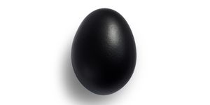 a concept new devil or evil will be born from black egg with shadow on left side of the egg