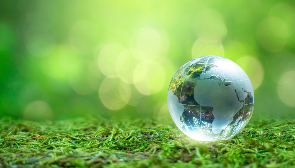 concept save the world save environment the world is in the grass of the green bokeh background