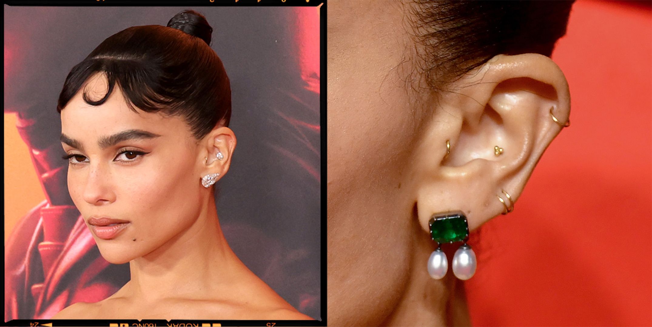 Outer hot sale conch earrings