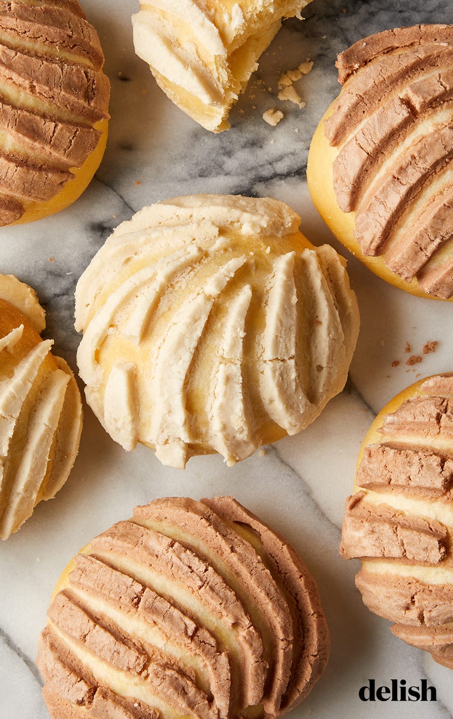 chocolate and vanilla concha bread rolls