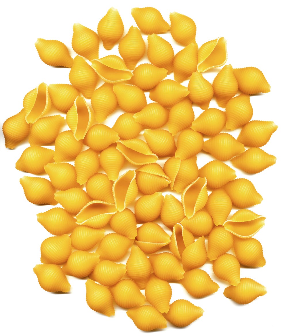 Conchiglie Against White Background