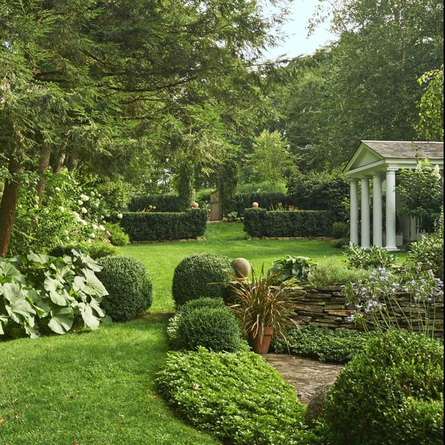 japanese pachysandra, giant butterbur, and english boxwoods form an evergreen passage from the pool garden to a potting shed and greenhouse