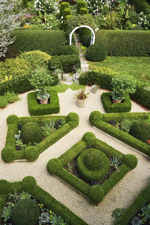 cabbage along with herbs, lettuces, and leeks bursts forth from geometric boxwood hedges