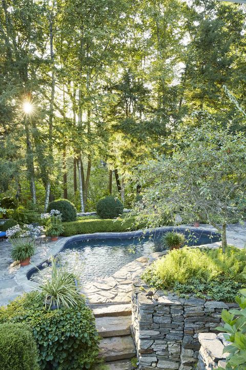 casting shade over the pool, which is located on the lower terrace off the rear of the house, are beech and hemlock trees